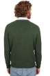 Cashmere men chunky sweater hippolyte 4f cedar xs