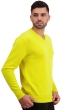 Cashmere men chunky sweater hippolyte 4f jaune citric l