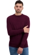 Cashmere men chunky sweater touraine first bordeaux l