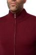 Cashmere men basic sweaters at low prices thobias first deep violet 2xl