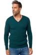 Cashmere men basic sweaters at low prices tor first vert emeraude s