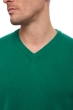 Cashmere men chunky sweater hippolyte 4f evergreen xs