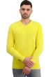 Cashmere men chunky sweater tour first daffodil xl