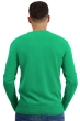 Cashmere men hippolyte 4f new green l