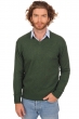 Cashmere men timeless classics hippolyte 4f cedar 3xl