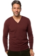 Cashmere men v necks tor first cinnabar l