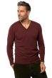 Cashmere men v necks tor first cinnabar l